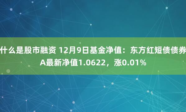 什么是股市融资 12月9日基金净值：东方红短债债券A最新净值1.0622，涨0.01%