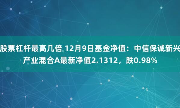 股票杠杆最高几倍 12月9日基金净值：中信保诚新兴产业混合A最新净值2.1312，跌0.98%