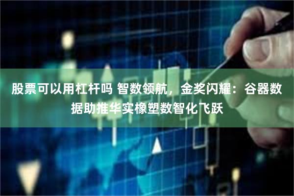 股票可以用杠杆吗 智数领航，金奖闪耀：谷器数据助推华实橡塑数智化飞跃