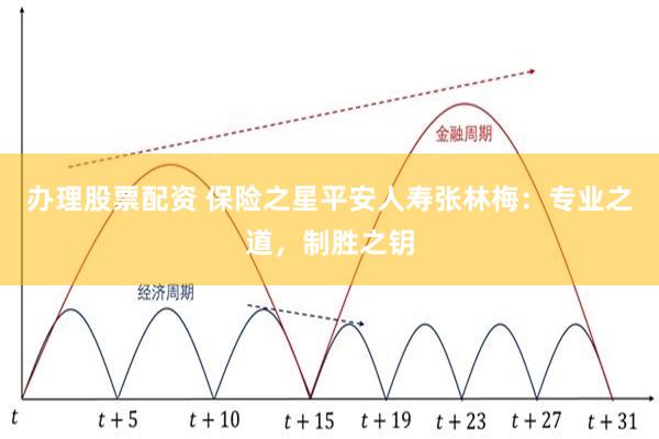 办理股票配资 保险之星平安人寿张林梅：专业之道，制胜之钥