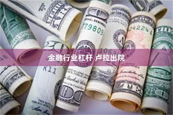 金融行业杠杆 卢拉出院