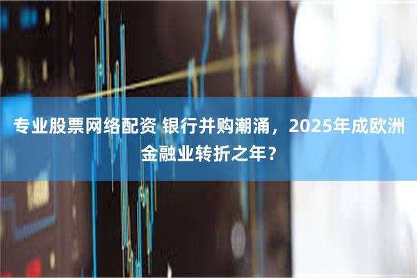 专业股票网络配资 银行并购潮涌，2025年成欧洲金融业转折之年？