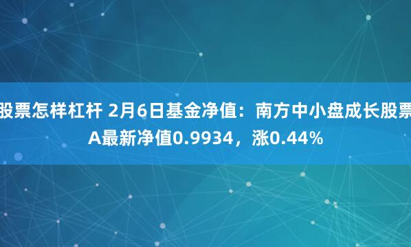 股票怎样杠杆 2月6日基金净值：南方中小盘成长股票A最新净值0.9934，涨0.44%