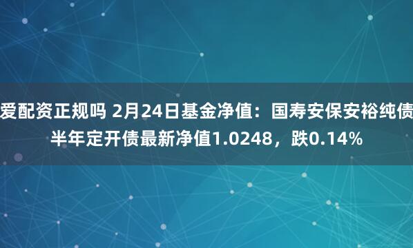 爱配资正规吗 2月24日基金净值：国寿安保安裕纯债半年定开债最新净值1.0248，跌0.14%